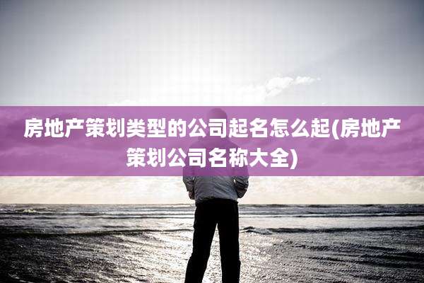 房地产策划类型的公司起名怎么起(房地产策划公司名称大全)