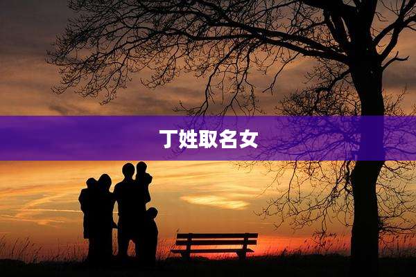 丁姓取名女