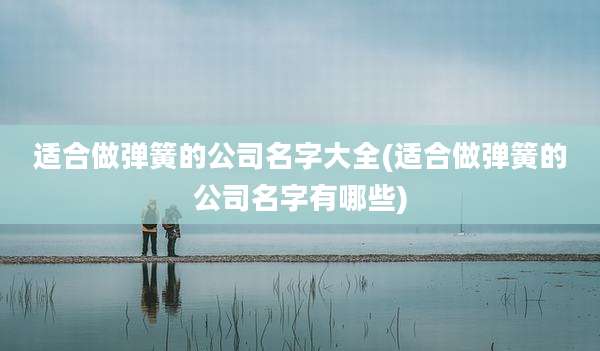 适合做弹簧的公司名字大全(适合做弹簧的公司名字有哪些)