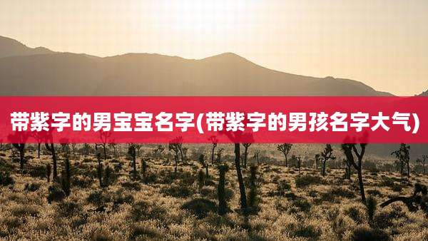 带紫字的男宝宝名字(带紫字的男孩名字大气)