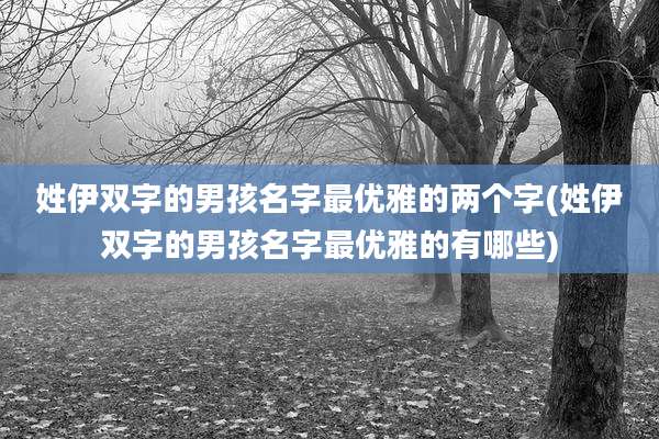 姓伊双字的男孩名字最优雅的两个字(姓伊双字的男孩名字最优雅的有哪些)
