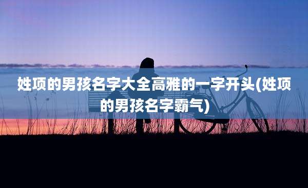 姓项的男孩名字大全高雅的一字开头(姓项的男孩名字霸气)
