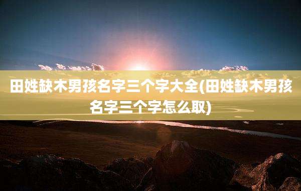 田姓缺木男孩名字三个字大全(田姓缺木男孩名字三个字怎么取)