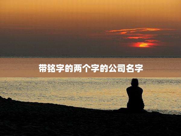 带铭字的两个字的公司名字