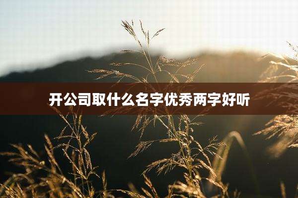 开公司取什么名字优秀两字好听