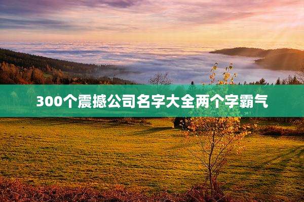 300个震撼公司名字大全两个字霸气