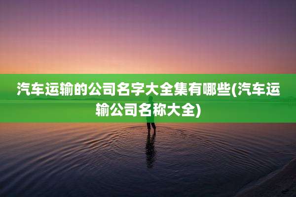 汽车运输的公司名字大全集有哪些(汽车运输公司名称大全)