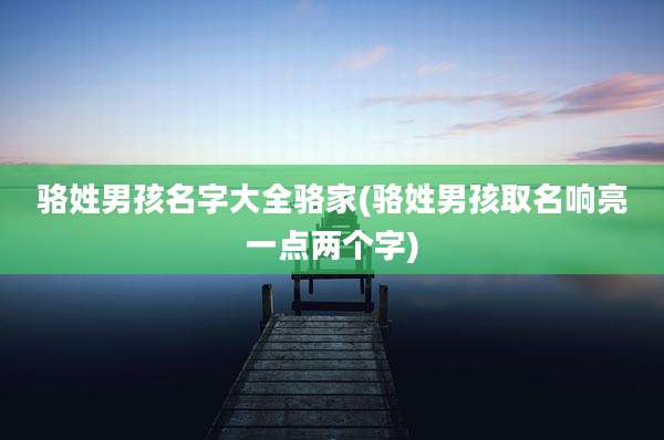骆姓男孩名字大全骆家(骆姓男孩取名响亮一点两个字)