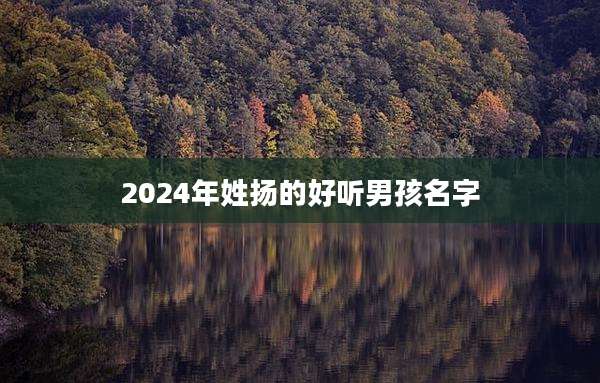 2024年姓扬的好听男孩名字