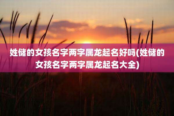 姓储的女孩名字两字属龙起名好吗(姓储的女孩名字两字属龙起名大全)