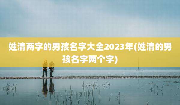 姓清两字的男孩名字大全2023年(姓清的男孩名字两个字)
