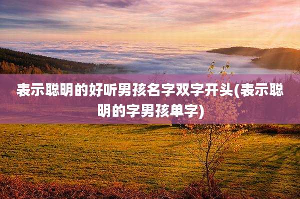 表示聪明的好听男孩名字双字开头(表示聪明的字男孩单字)