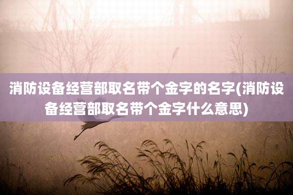 消防设备经营部取名带个金字的名字(消防设备经营部取名带个金字什么意思)