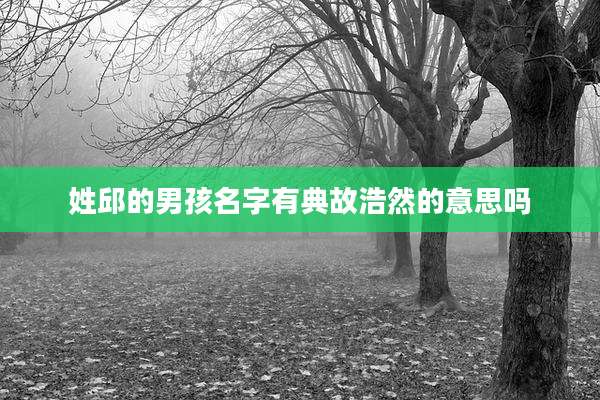 姓邱的男孩名字有典故浩然的意思吗