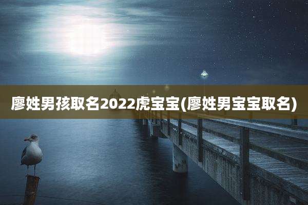廖姓男孩取名2022虎宝宝(廖姓男宝宝取名)