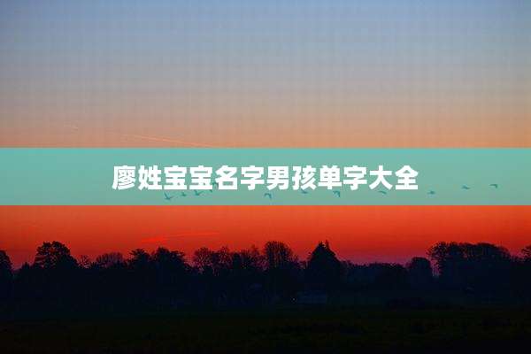 廖姓宝宝名字男孩单字大全