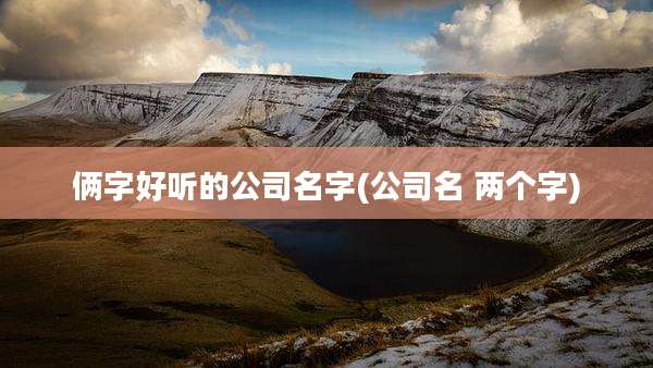 俩字好听的公司名字(公司名 两个字)
