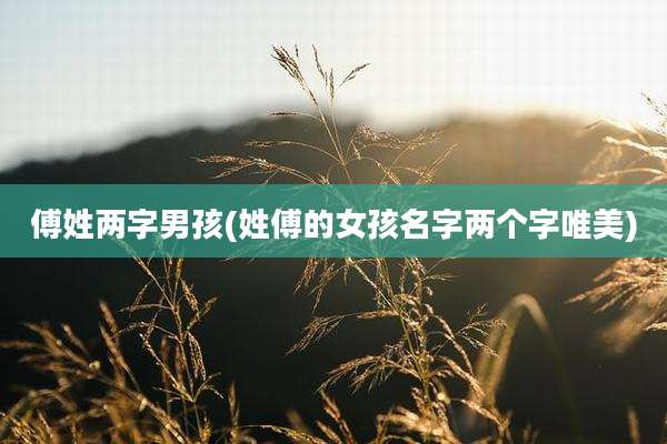 傅姓两字男孩(姓傅的女孩名字两个字唯美)