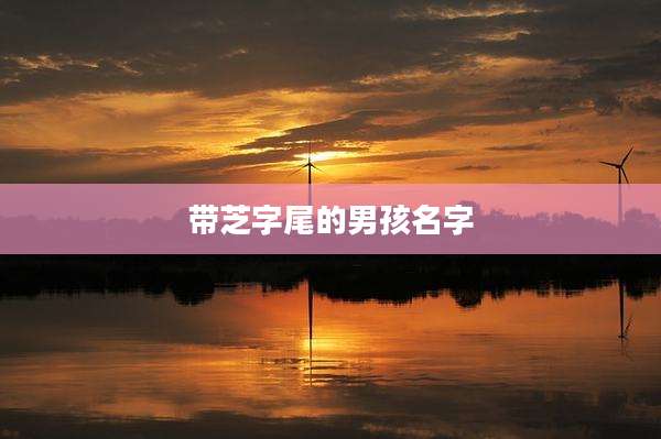 带芝字尾的男孩名字