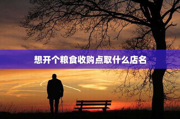 想开个粮食收购点取什么店名