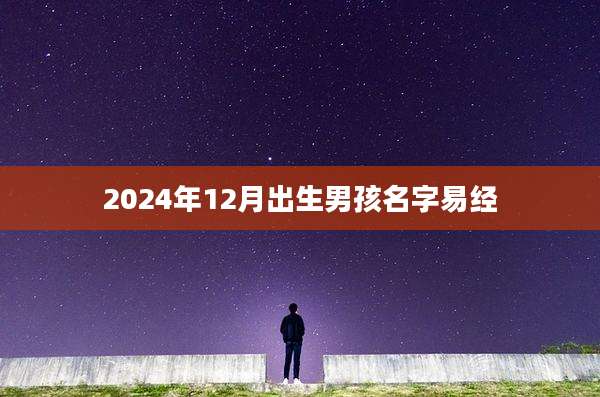 2024年12月出生男孩名字易经