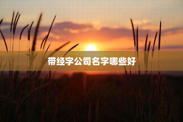 带经字公司名字哪些好