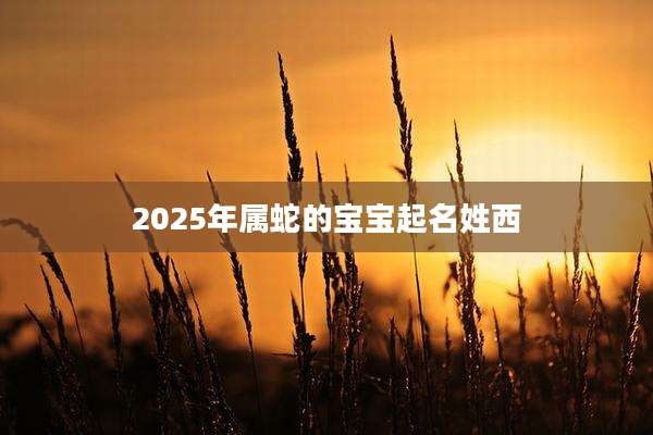 2025年属蛇的宝宝起名姓西