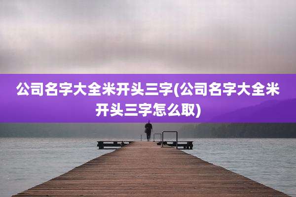 公司名字大全米开头三字(公司名字大全米开头三字怎么取)