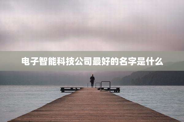 电子智能科技公司最好的名字是什么