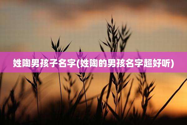 姓陶男孩子名字(姓陶的男孩名字超好听)