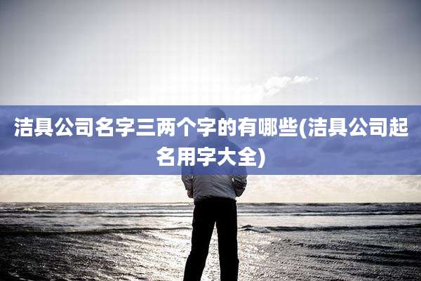 洁具公司名字三两个字的有哪些(洁具公司起名用字大全)