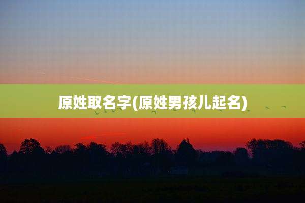 原姓取名字(原姓男孩儿起名)