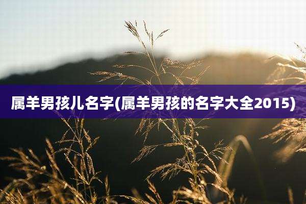 属羊男孩儿名字(属羊男孩的名字大全2015)