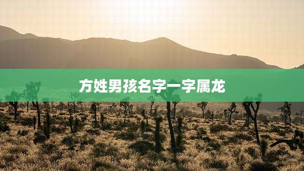 方姓男孩名字一字属龙