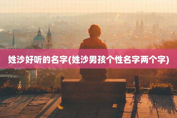 姓沙好听的名字(姓沙男孩个性名字两个字)