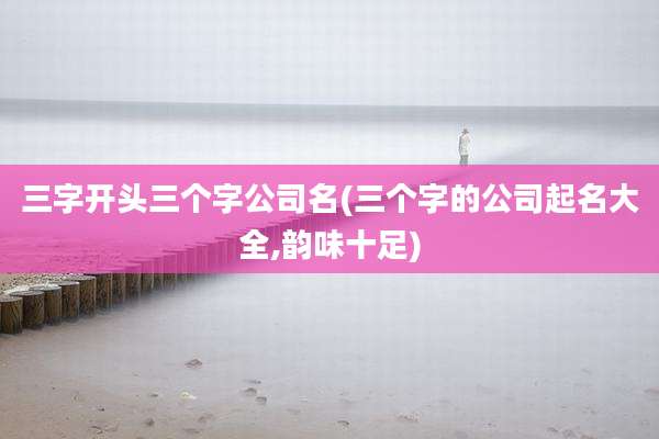 三字开头三个字公司名(三个字的公司起名大全,韵味十足)