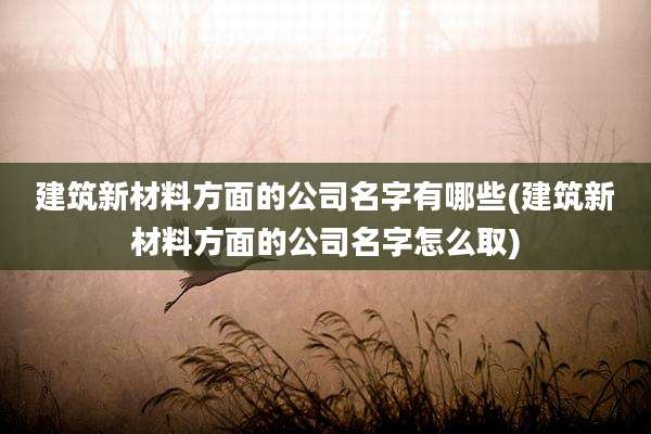 建筑新材料方面的公司名字有哪些(建筑新材料方面的公司名字怎么取)