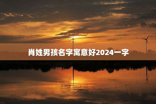 肖姓男孩名字寓意好2024一字