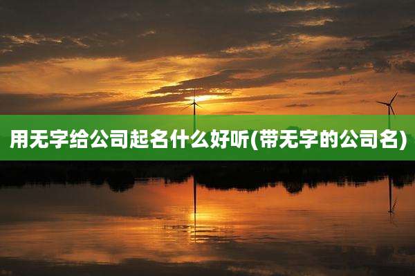 用无字给公司起名什么好听(带无字的公司名)