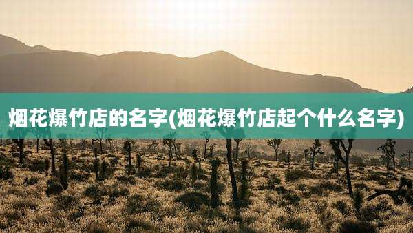 烟花爆竹店的名字(烟花爆竹店起个什么名字)
