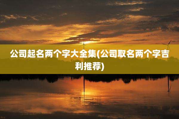 公司起名两个字大全集(公司取名两个字吉利推荐)