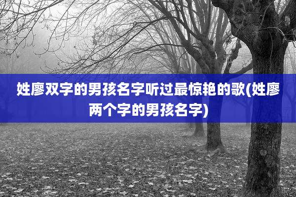 姓廖双字的男孩名字听过最惊艳的歌(姓廖两个字的男孩名字)