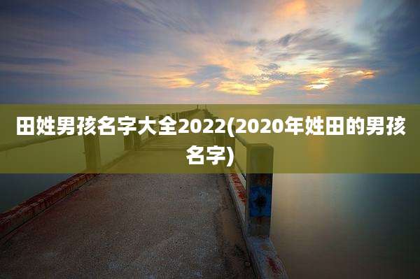 田姓男孩名字大全2022(2020年姓田的男孩名字)