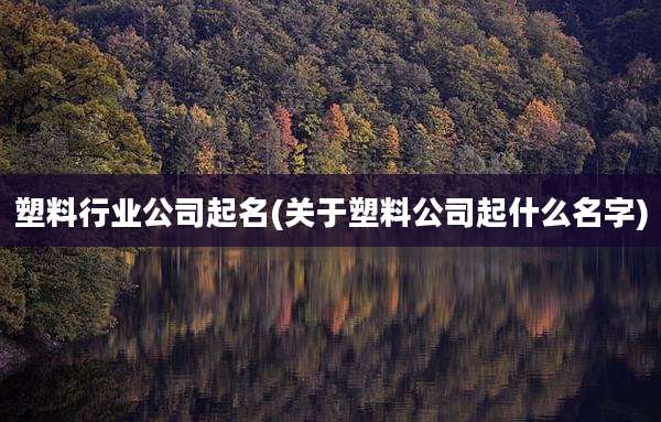塑料行业公司起名(关于塑料公司起什么名字)