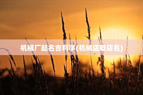机械厂起名吉利字(机械店取店名)