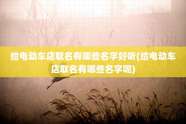 给电动车店取名有哪些名字好听(给电动车店取名有哪些名字呢)