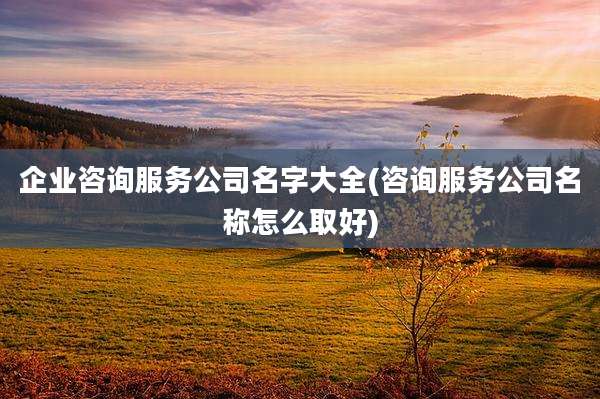 企业咨询服务公司名字大全(咨询服务公司名称怎么取好)
