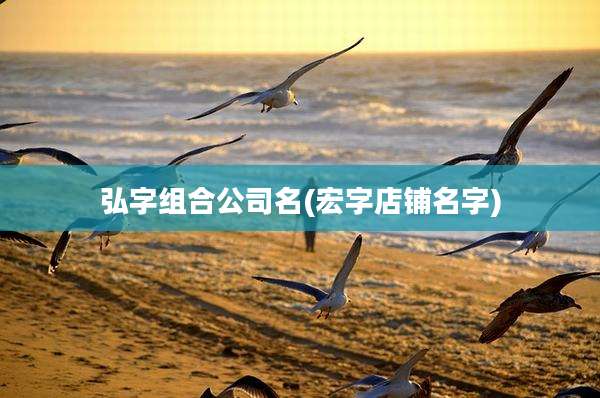 弘字组合公司名(宏字店铺名字)