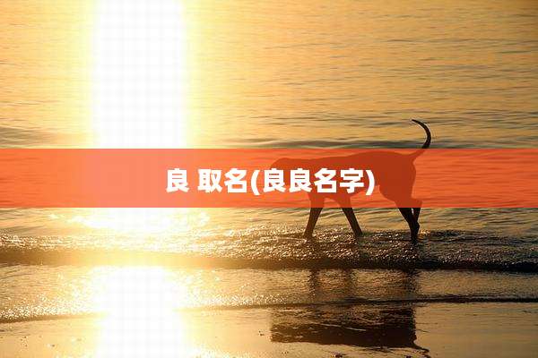 良 取名(良良名字)
