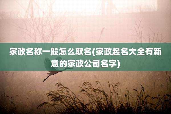 家政名称一般怎么取名(家政起名大全有新意的家政公司名字)